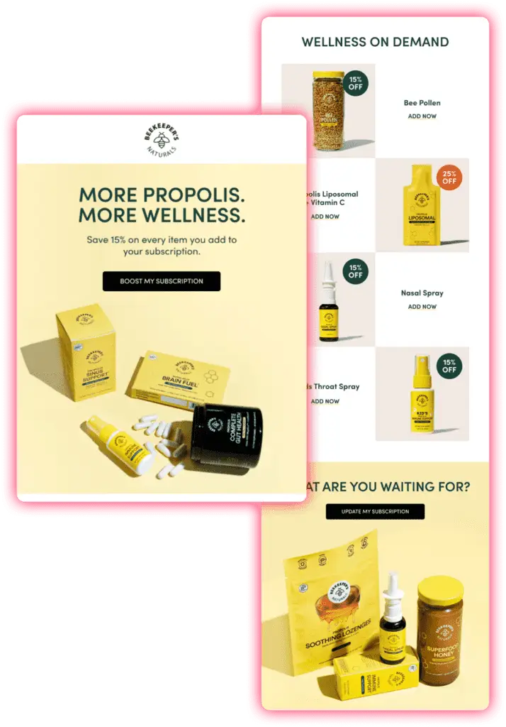 Beekeepers Naturals upsell email segmentation