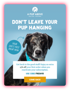 A Pup Above winback email for price objection