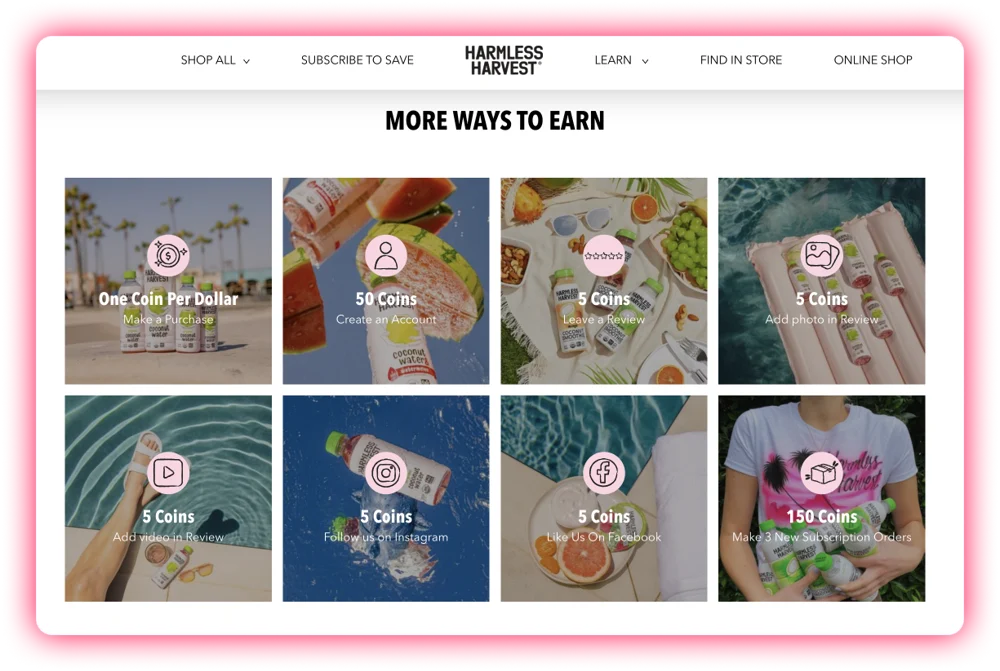 loyalty program example