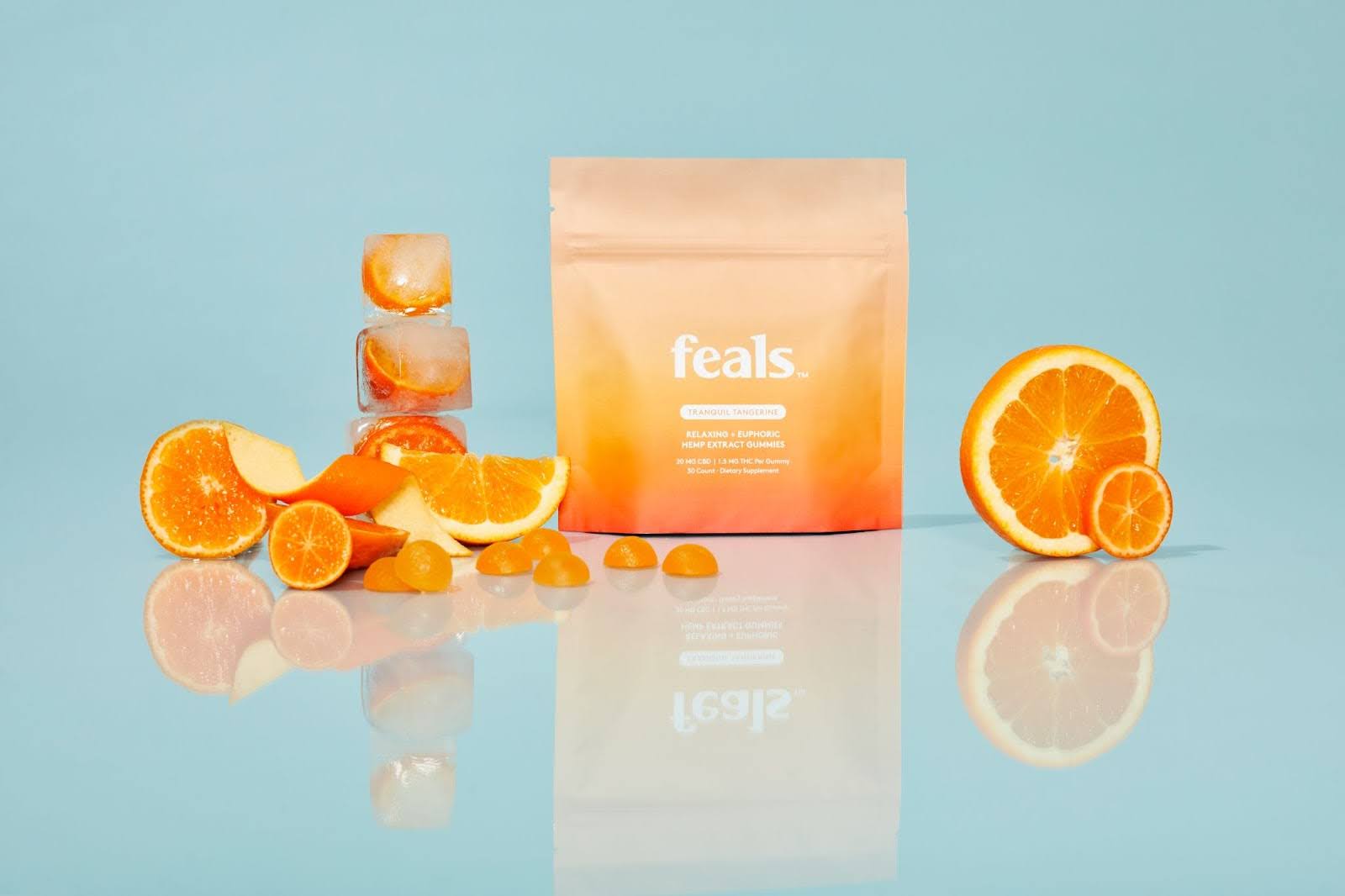 Feals-FEATURED-IMAGE